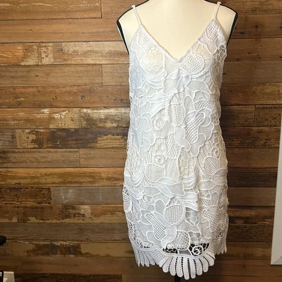 EXPRESS gorgeous, layered lace knit dress excellent condition - Picture 2 of 7